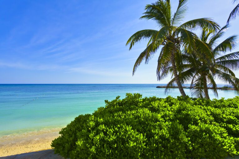 Beach In Jamaica