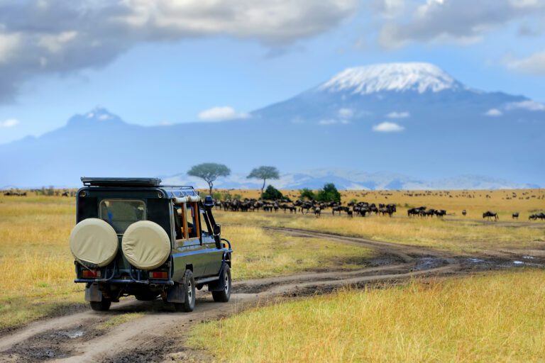 Safari Ride In Kenya